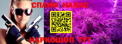 mdpv Бийск